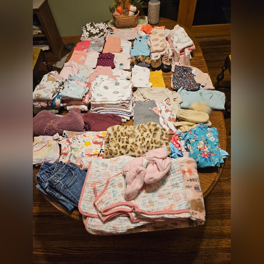 Bundle baby girl clothes 9-18 months